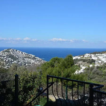 Stone With Private Pool Vila