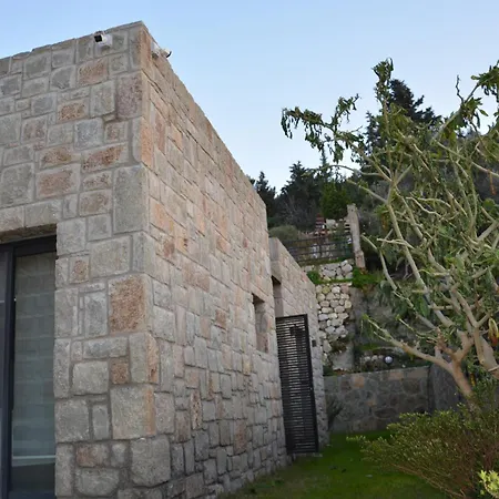 Stone With Private Pool فيلة *